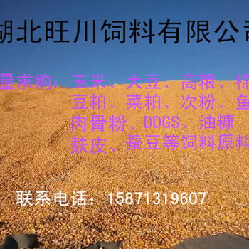 求購玉米豆粕DDGS肉骨粉