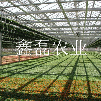 溫室大棚廠