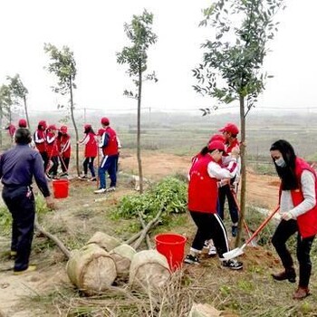 上海亲子植树活动近郊7大植树场地趣味亲子游戏