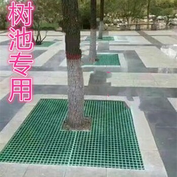 树篦子玻璃钢格栅树池盖板树穴中