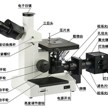 重庆金相显微镜-三目倒置金相显微镜4XC-W厂家
