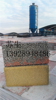 广州增城广场砖产品