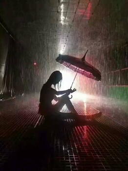 江北大型雨急如箭雨屋出租，威武雄壮机械大象出租