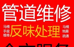 30分钟上门通厕所下水道马桶地漏卫生间厨房通图片0