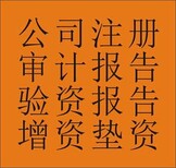 事务所出具企业及社会团体如下审计报告、评估报告图片2