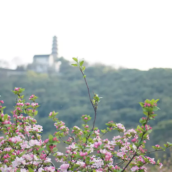 吴江景观鸟瞰图设计,设计鸟瞰图