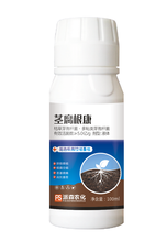 防治根腐、立枯蔓枯-莖腐根康圖片