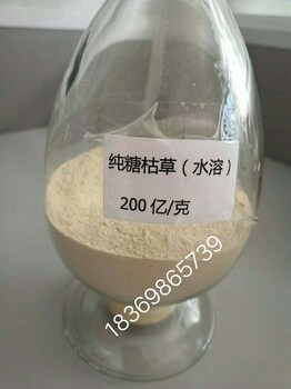 枯草芽孢桿菌廠家