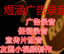 端午节粽子促销广告录音叫卖语音广告词录制