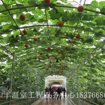 槽式基质种植立体种植架立体栽培设施西红柿种植架椰糠种植蔬菜