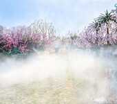 山东潍坊喷雾造景重庆水雾环保科技技术专业