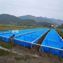 新时代的大发展养殖帆布水池养虾帆布水池篷布养鱼水池图片
