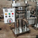 原生态小磨香油液压榨油机多功能立式芝麻香油机流动油坊榨油机图片0