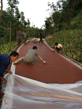 江苏苏州彩色透水沥青，透水混凝土市政园林景观道路铺装新材料