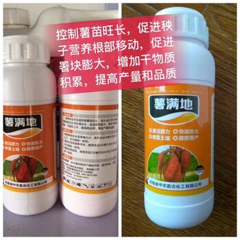 紅薯控旺
