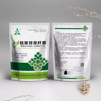 果農(nóng)朋友們注意了，別讓白粉病毀了你家的桃子！