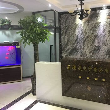 乐境通亚马逊无货源店铺建设一对一指导