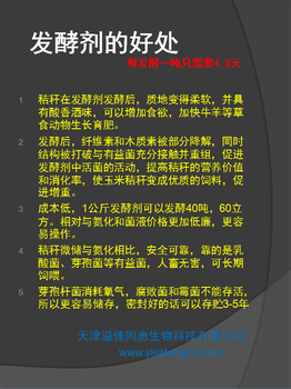 青儲發(fā)酵
