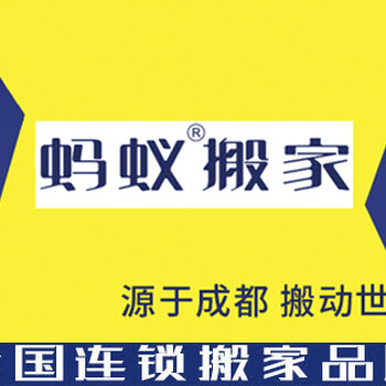 蚂蚁家政保洁 精细化服务，还您明亮之家