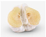 今年柚子涨价的可能性，梅州正品好吃的沙田柚购买方式