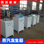 晟睿电锅炉电加热全自动蒸汽发生器3kw-48kw电蒸汽锅炉图片2