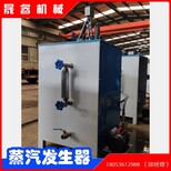 晟睿电锅炉电加热全自动蒸汽发生器3kw-48kw电蒸汽锅炉图片5