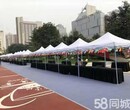 北京供应户外帐篷展览帐篷租赁白色遮阳伞租赁