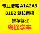 初考增驾A牌B牌客车货车公交驾照、快班有保障！