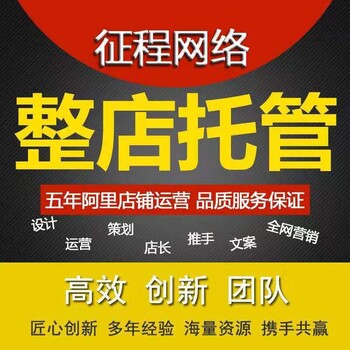 惠州市网络运营推广有哪些公司