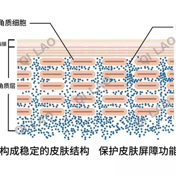 皮肤总是反反复复发红过敏，说是肌肤屏障受损了，什么是肌肤屏障啊？余翠玉