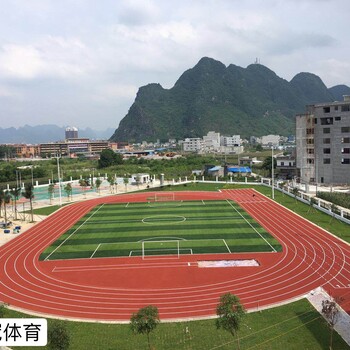 江西新余-新国标塑胶球场-塑胶跑道-全塑型自结纹跑道-环保硅PU球场-人造草坪