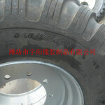 600/50R22.5悬浮拖车轮胎林业宽基轮胎钢丝胎