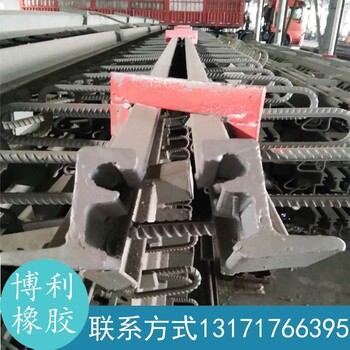 橋梁伸縮縫橋梁C型D型E型G型F型伸縮縫生產(chǎn)廠家