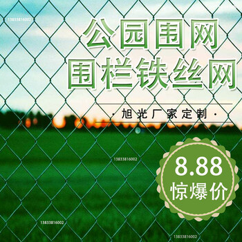 包塑勾花網(wǎng)養(yǎng)殖包塑勾絲網(wǎng)礦山用鐵絲網(wǎng)支撐菱形網(wǎng)廠家