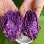 福建连城紫薯红薯大量供应一件代发