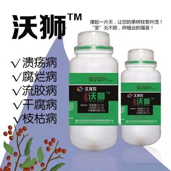 石榴干腐病的防治方案
