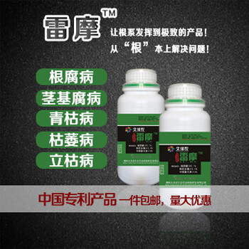 快速解決番茄枯萎病的防治方案