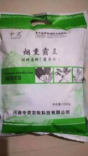 烟熏霸王图片