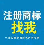 商标查询注册，软件著作权登记，logo设计一站式服务，图片0