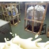 巴氏鲜奶设备-鲜羊奶杀菌消毒机-酸奶生产成套设备