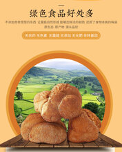 东北猴头菇蘑菇批发猴头菇种植基地产地批发图片