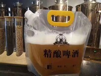 烧烤自酿啤酒设备厂家致富就选动力时代图片1