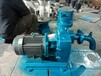 ZN65-65-4kW自吸泵专用倒浆泵