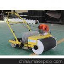 蔬菜播種機圖片價格蔬菜種植機手動蔬菜播種機田園播種機