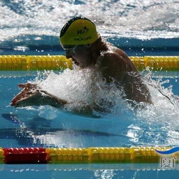 福田罗湖南山游泳培训游泳私教一对一私教一对二国家游泳教练