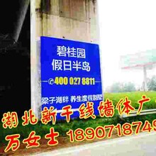 荆州广告公司墙体广告，Y恩施医院户外墙体广告