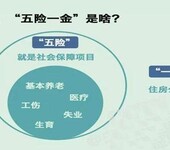 广州公司五险办理，企业五险公积金咨询，社保广州机构代缴