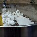 SGS-400食品瓶理瓶机洗化行业使用