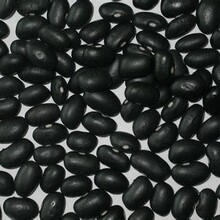 供应黑大豆种子价格,黒豆种子供应商,黑豆种子批发