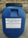 温县水泥基防水涂料销售厂家--产品图片图片1